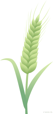 鲜掉眉毛，谁是“顶流”？