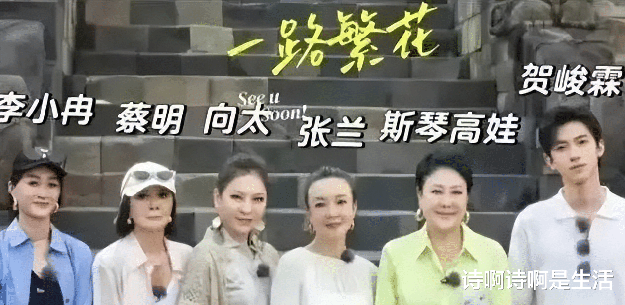 一夜被骂上万次!向太也没想到,最后唯一帮她的,还是张兰那的人