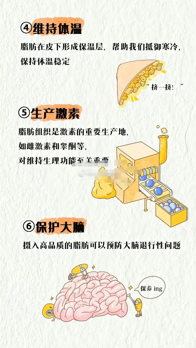 凡事都有两面性，让你讨厌的脂肪也是有正面作用的