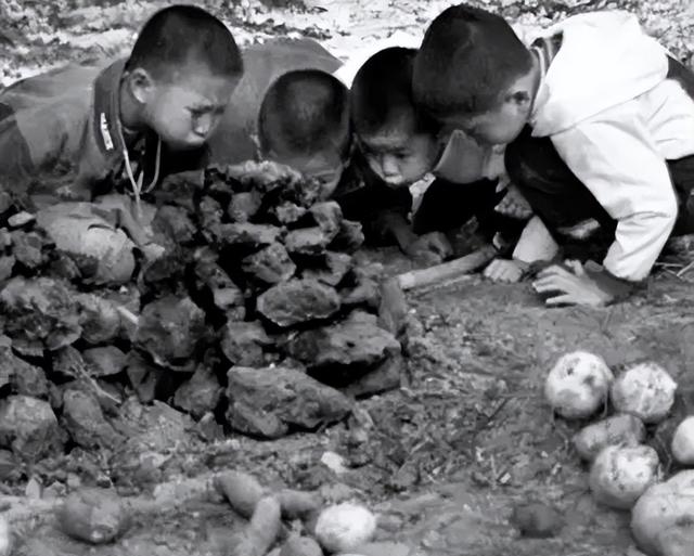 活在70后80后记忆里的十种水果，现在却鲜有人问津！你吃过几种？