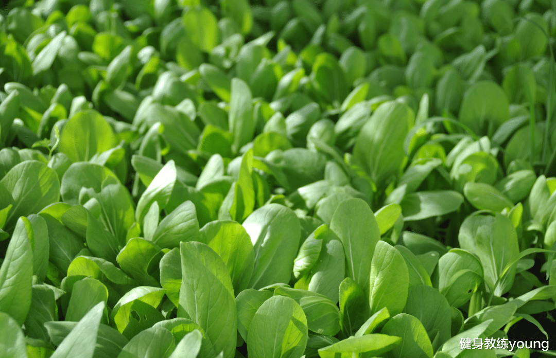 这8种碱性食物,爱吃的人瘦得快