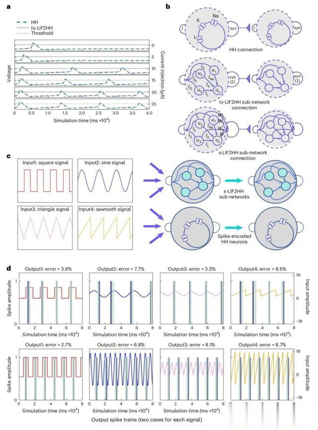 中科院自動(dòng)化所 基于內(nèi)部復(fù)雜性的新型類腦網(wǎng)絡(luò)模型有望實(shí)現(xiàn)AGI