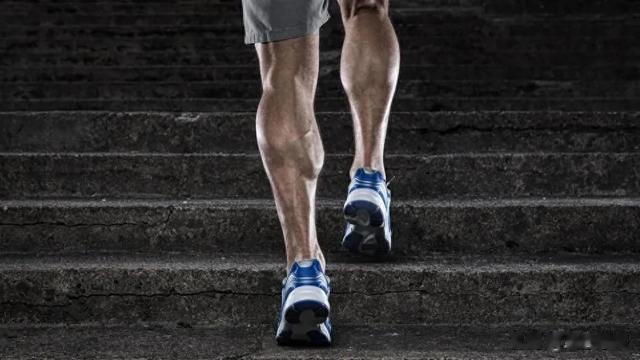 强壮小腿肌肉，打造有力线条