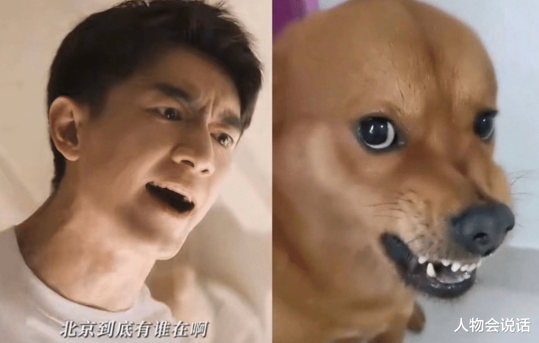 笑不活了！霍建华一出场，彭冠英林更新30集全“白干”