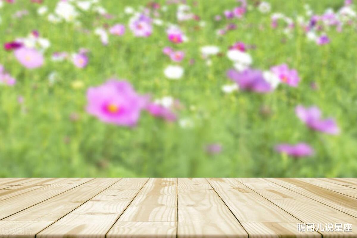 性格沉稳，职场顺风顺水的三大星座