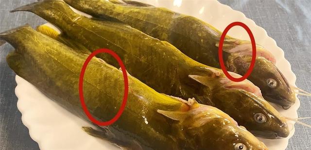 买黄骨鱼,一般人专挑颜色黄个头大的,鱼贩:自己从来不吃
