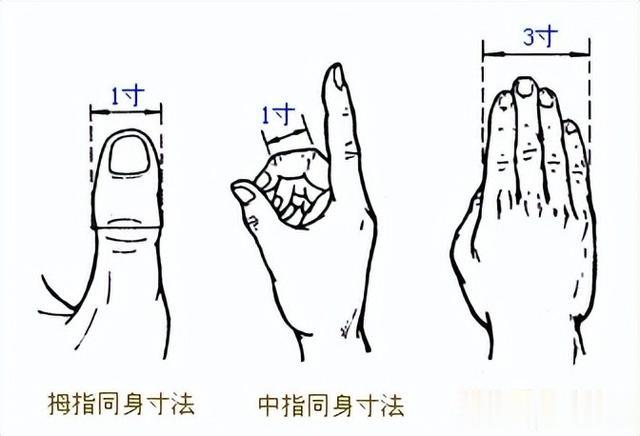 手腕上有个“心脏急救穴”,更是治疗失眠的效穴