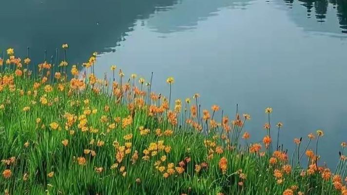 为什么大多数父母宁愿你身心不健康的工作，都不愿你辞职待业？