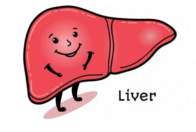 肝不好的人,5种水果平时多吃,或能帮助修复肝功能,建议早了解