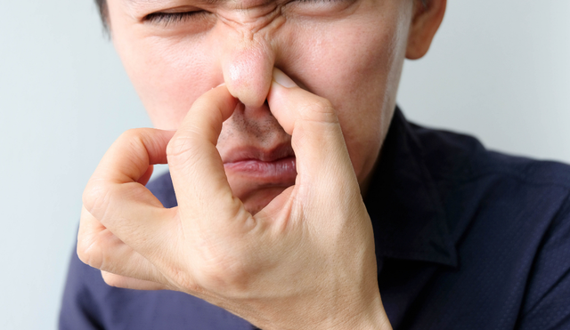 夏季最易生湿气，祛湿猛将二陈丸，参苓白术散，龙胆泻肝丸如何吃
