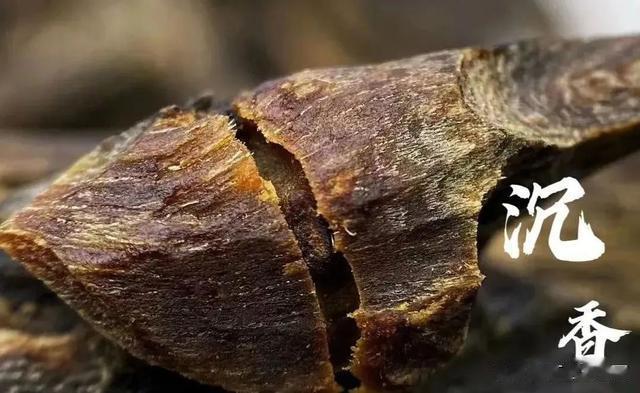 沉香：8个方法学会怎样保养沉香