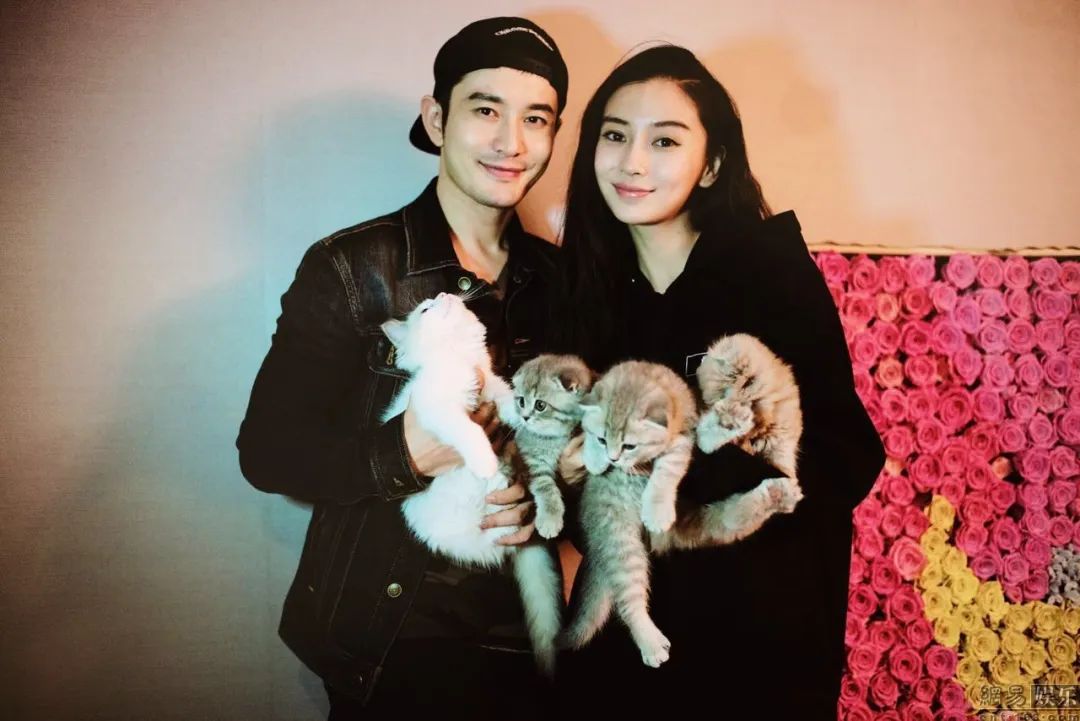 内娱4位“二婚男”,一个比一个年轻,让人不敢相信!