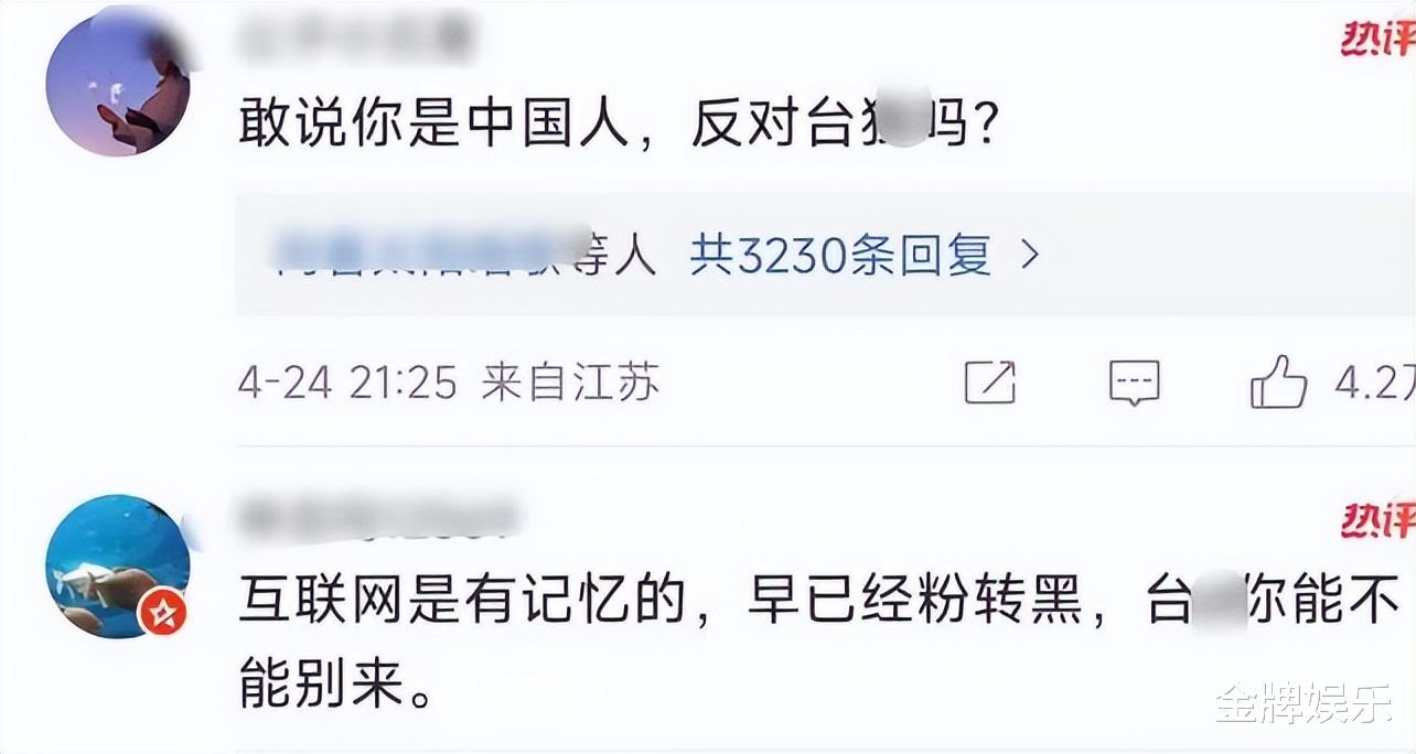 田馥甄年收入仅剩2000万台币左右!怪不得不肯放弃内地市场