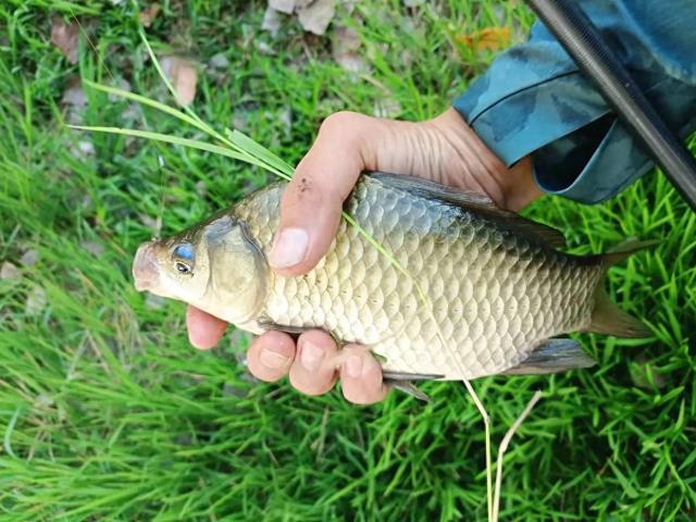 传统钓落伍钓不到鱼？错！学会这六个经验，从此钓鱼只带一根竿