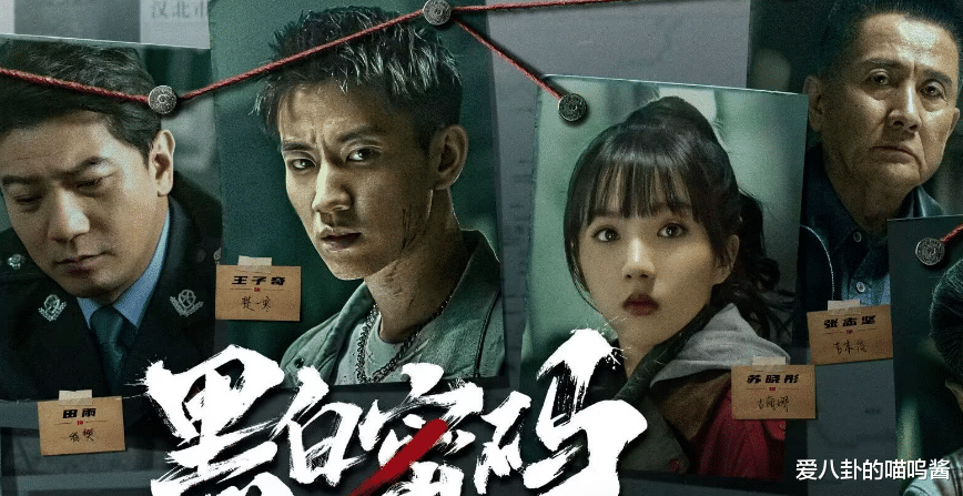 24集刑侦悬疑大剧!张志坚、杜源、田雨、王子奇领衔!