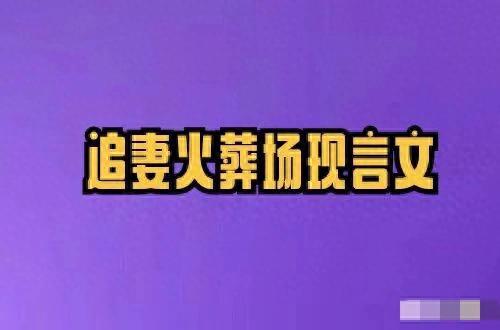 4本追妻火葬场现言文，兄弟相争，貌美职场新人vs禁欲科技大佬