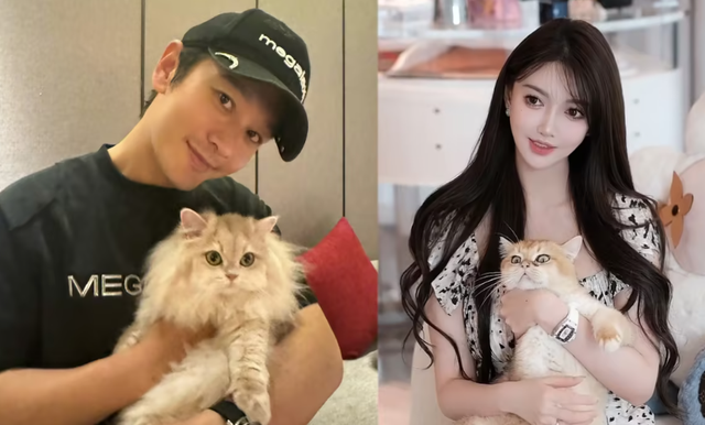 送走了叶珂,又来了赵薇!倒霉的黄晓明,终究是绕不过“女人坑”