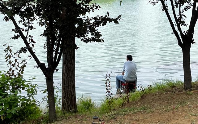 夏钓深，具体应该钓多深？这几种情况更适合钓浅