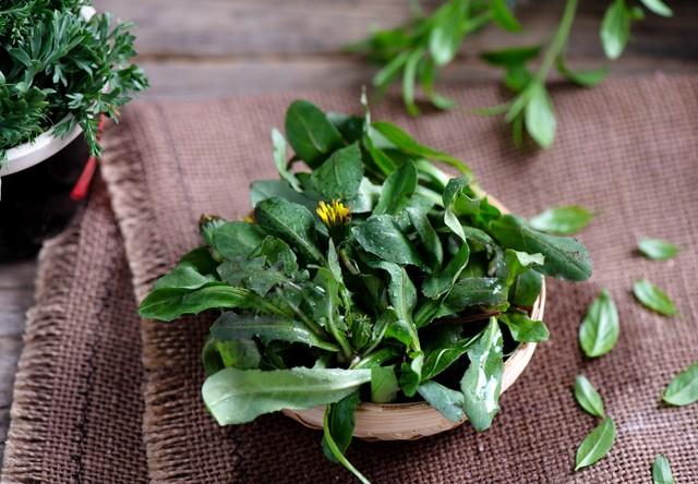 曾被农民当野菜吃,也是不可多得的高级补品,为何如今消失不见