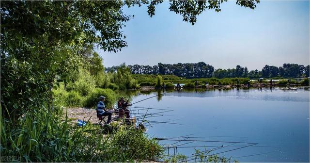 倒春寒釣魚難，長(zhǎng)竿釣鯽仍是主流，這幾個(gè)實(shí)用技巧過足釣癮