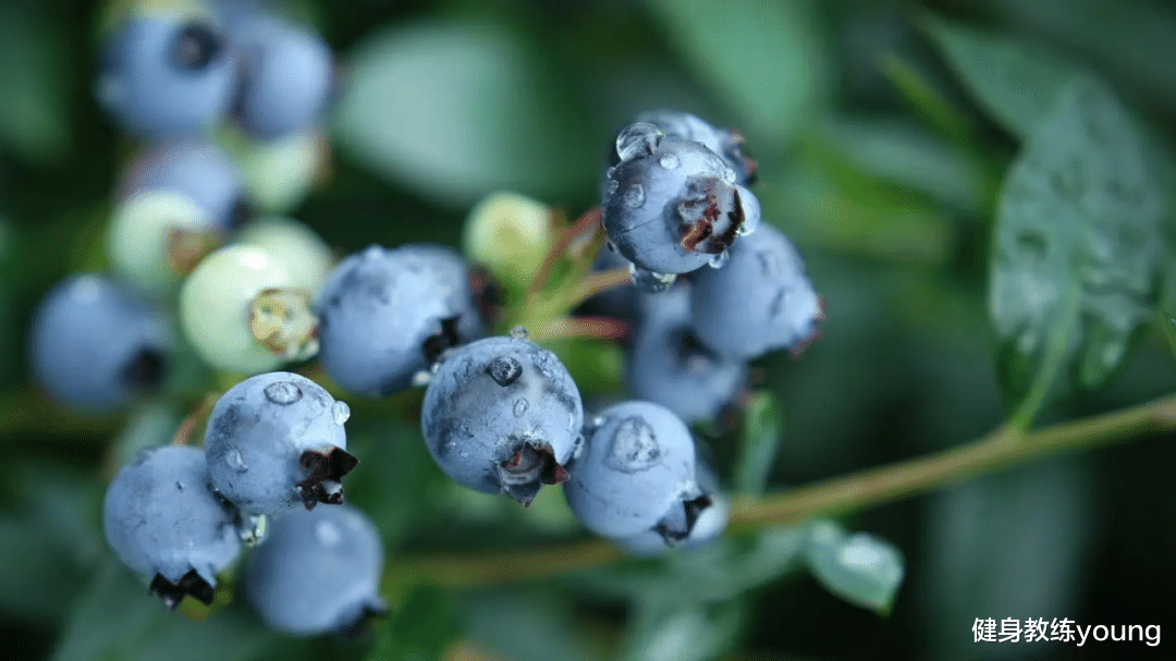 10种适合减肥的食物,第一种你吃过吗?