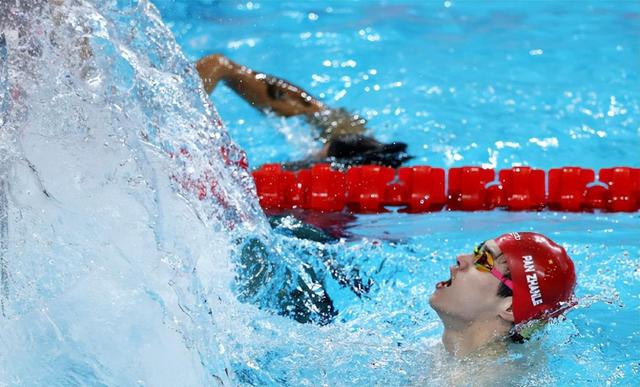 笑不活了,潘展乐又又又又告状冲上热搜,告状真的有用,评论笑死