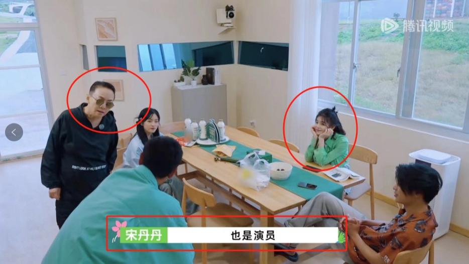 陈妍希加盟《桃花坞》，被曝婚变后首谈陈晓，不承认离婚狂拼事业