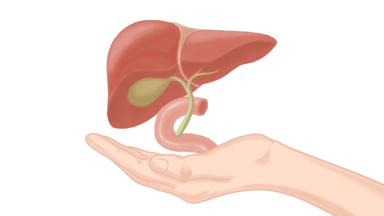 身体这4个异常，多次出现时，当心肝脏或已发生病变，及时检查