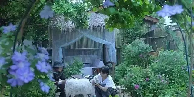 李子柒的院子,才是最理想的“豪宅”,网友:宇宙的尽头是农村