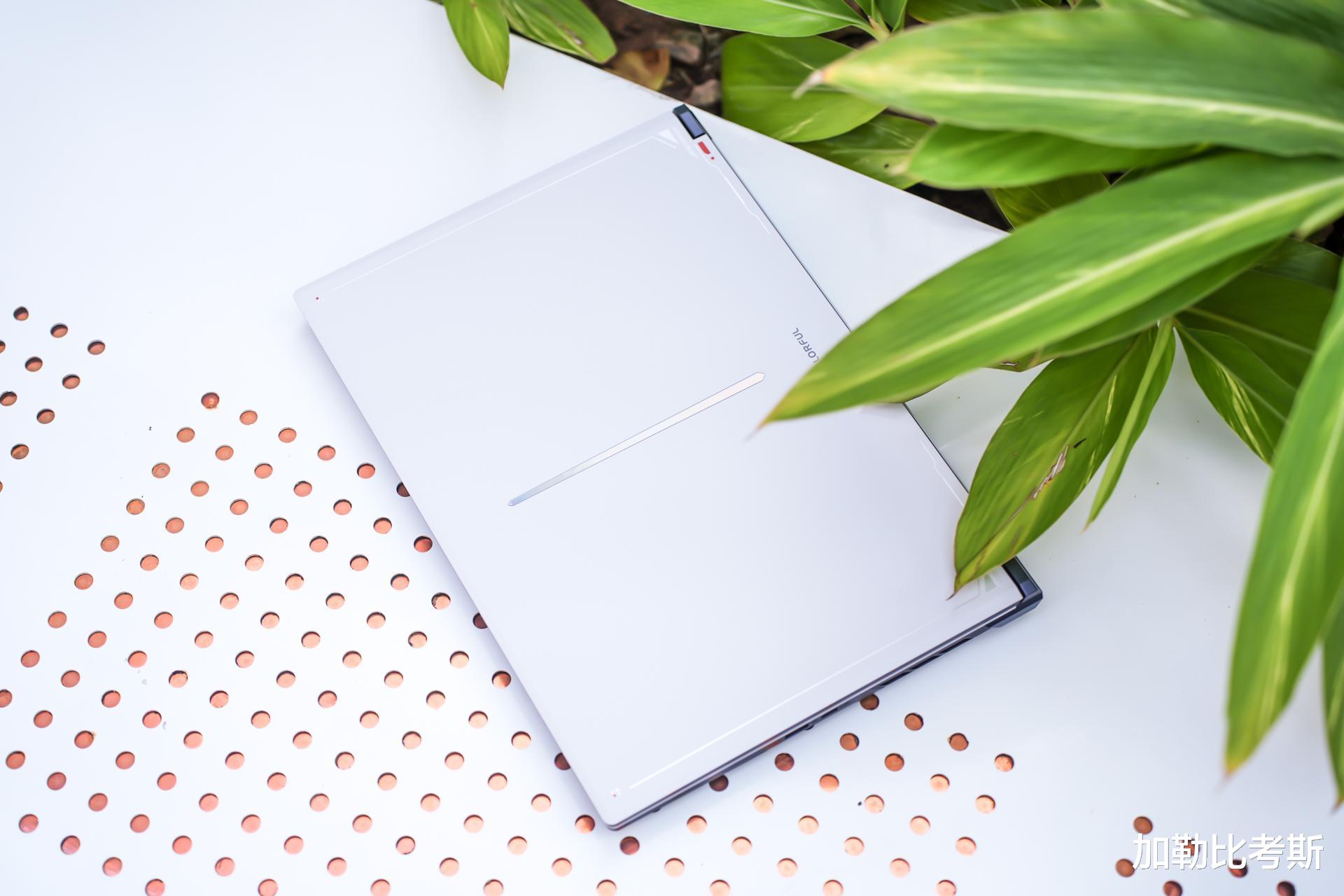 品牌痛哭,我们捡漏丨11.11瞒着也要买的5件好物,用了半年才敢推给大家