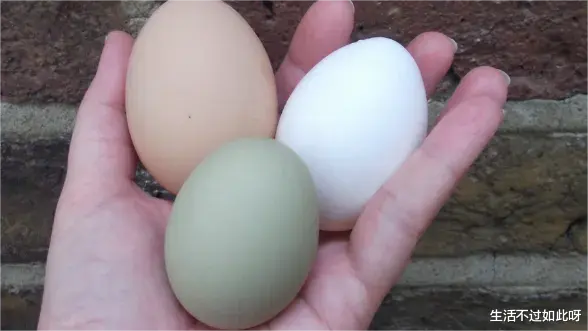 鸡蛋壳颜色为什么有些深有些浅？原来是有原因的，以后别乱买了