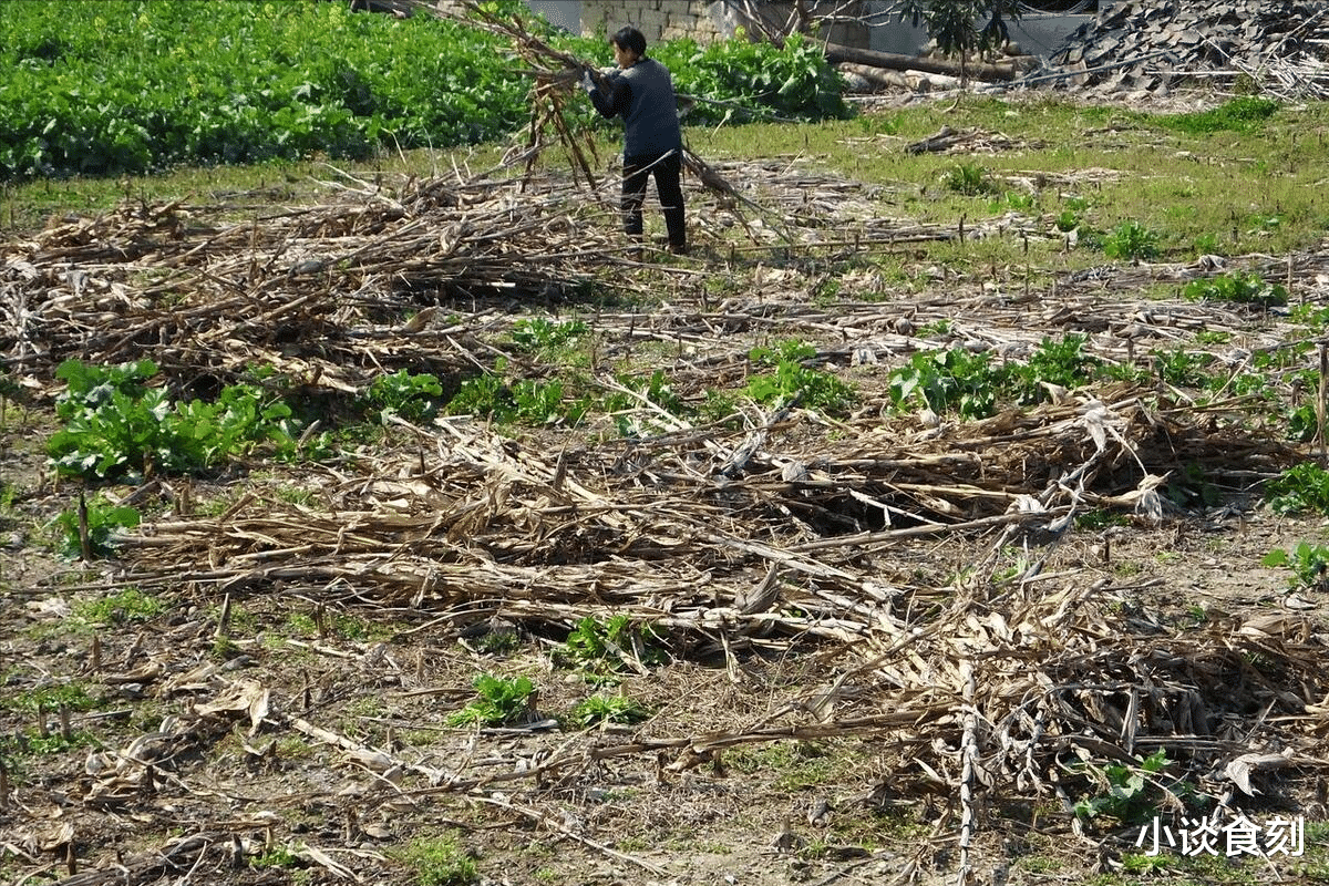 明日正月廿二,提醒:2不做,吃3样,忌1事,寓意龙年顺风顺水