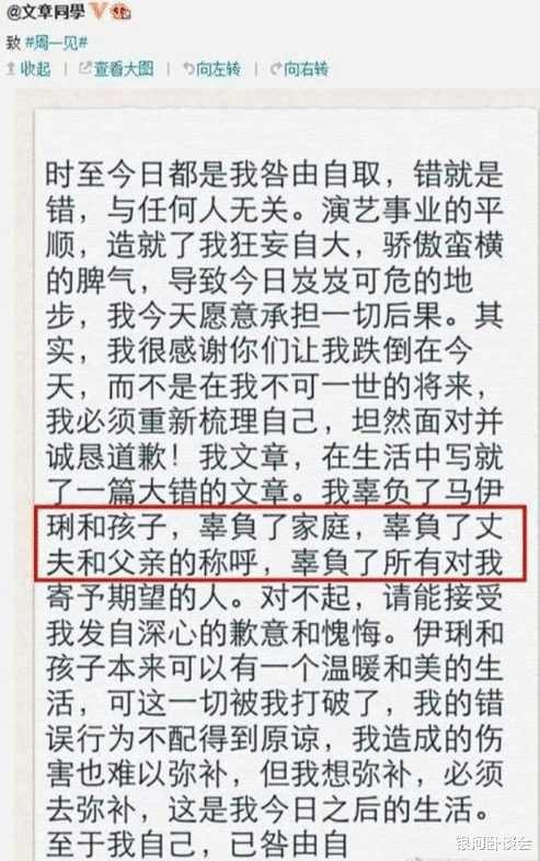 文章模仿向佐再引关注,网友呼吁拍戏没剧看了