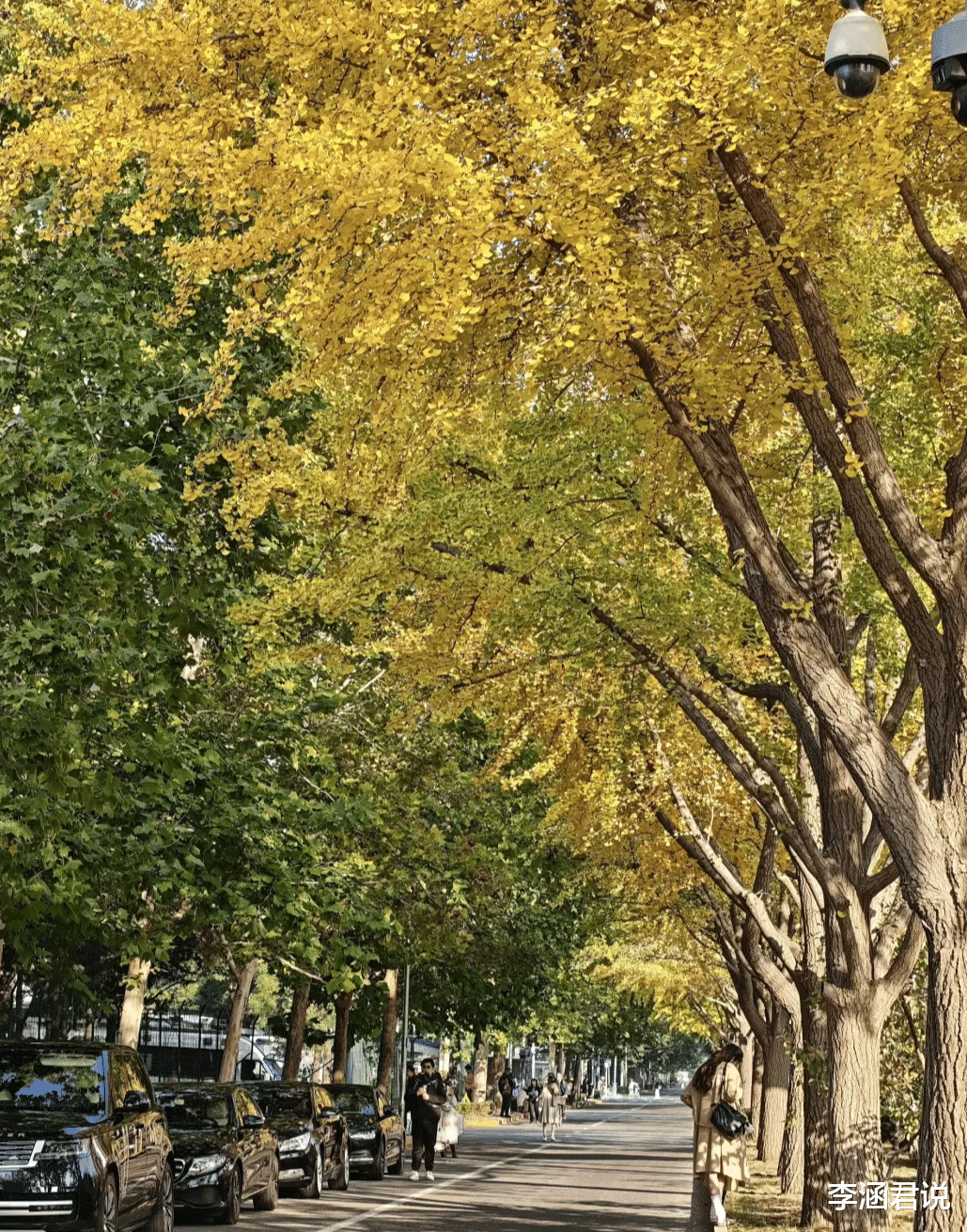 中端手机诞生新“黑马”!三星联合OLED屏+302万跑分+6500mAh