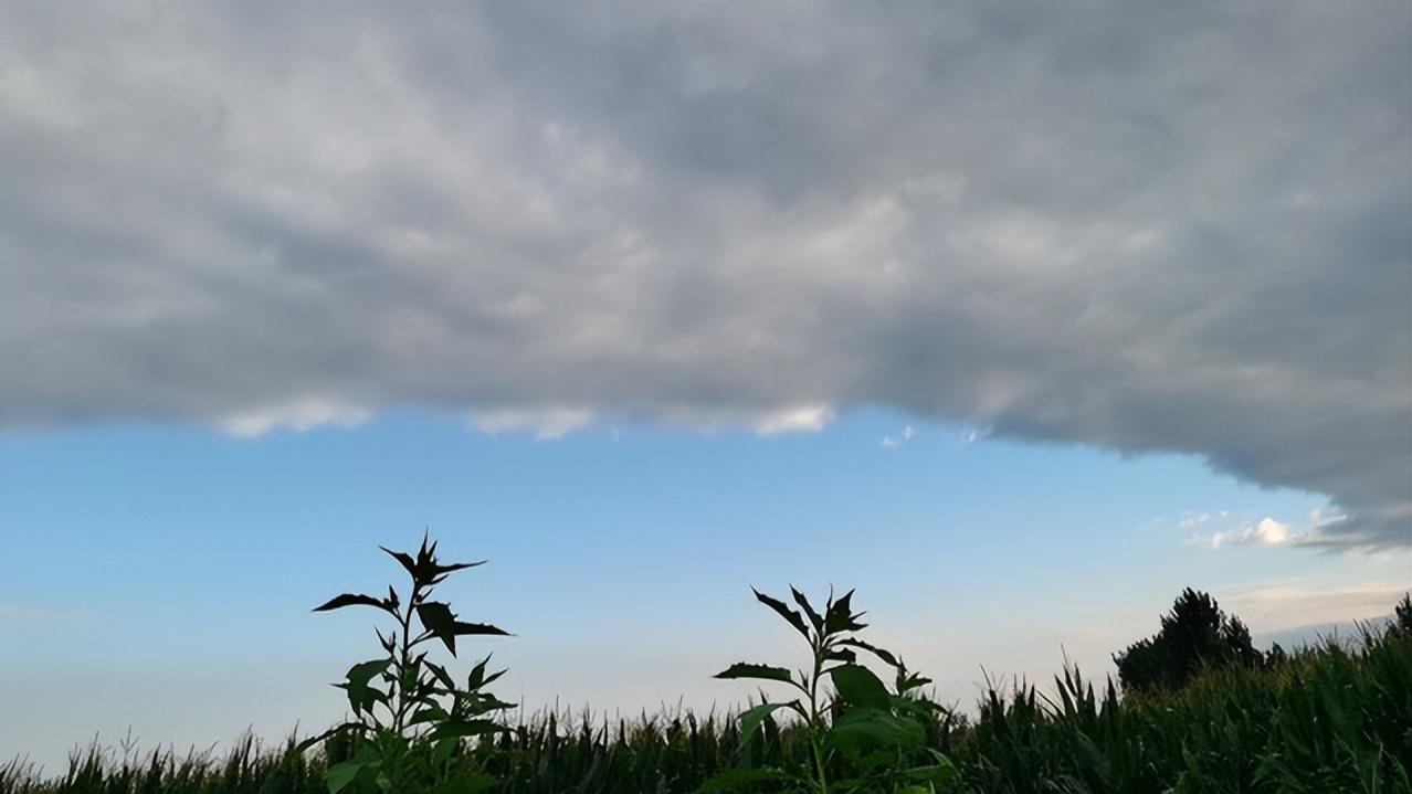 今年是秋包伏，老人说：“伏里夹一秋，暑热逢秋旱”，啥意思？