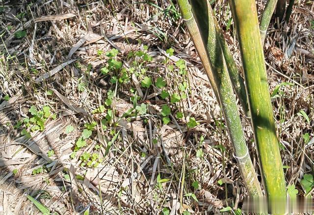 假装的代价,会更大