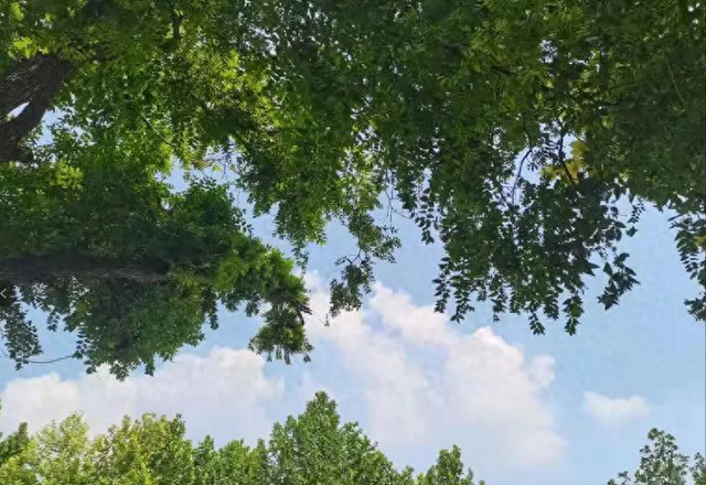 湿热在4脏，病就来！中医教你一招，祛除湿热 打通三焦！