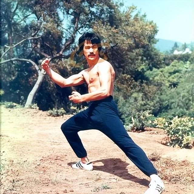 四大功夫之王现状：一个患病，一个坐轮椅，一个离世，他依旧风光