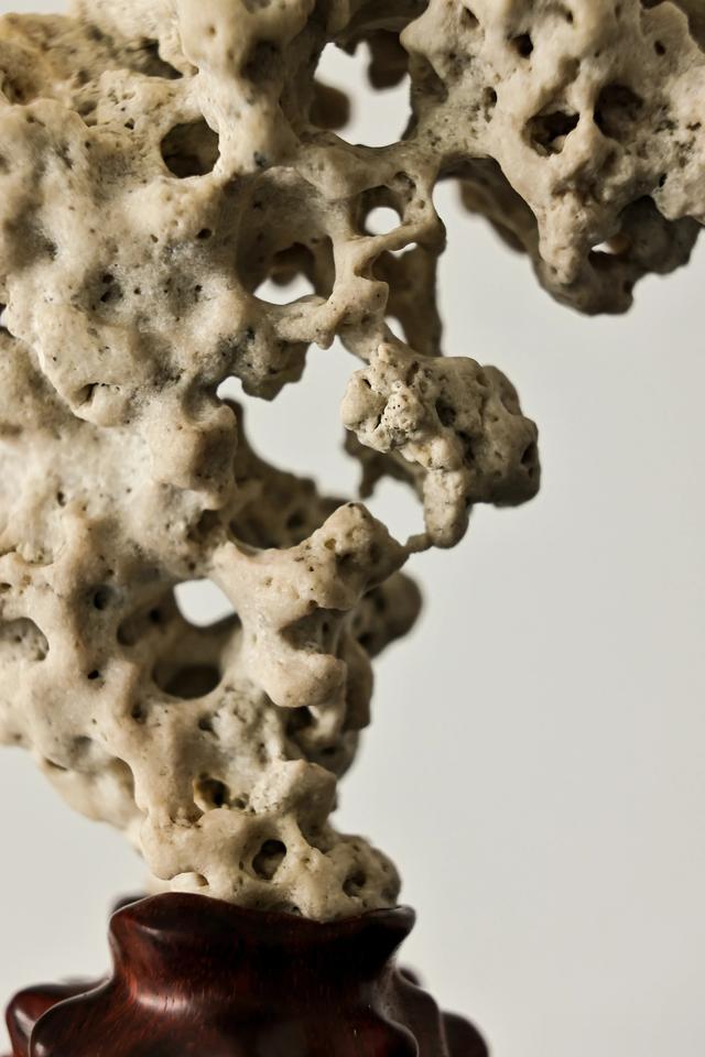 太湖石x紫檀 | 藏秀