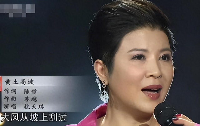 她9次登上春晚,被老外骗走3000万,40岁嫁小13岁男友,如今怎样