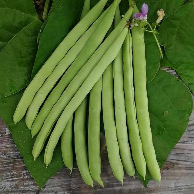 三伏天爱出汗,建议使劲吃“它”,化湿健脾还解暑,腿脚更有劲!