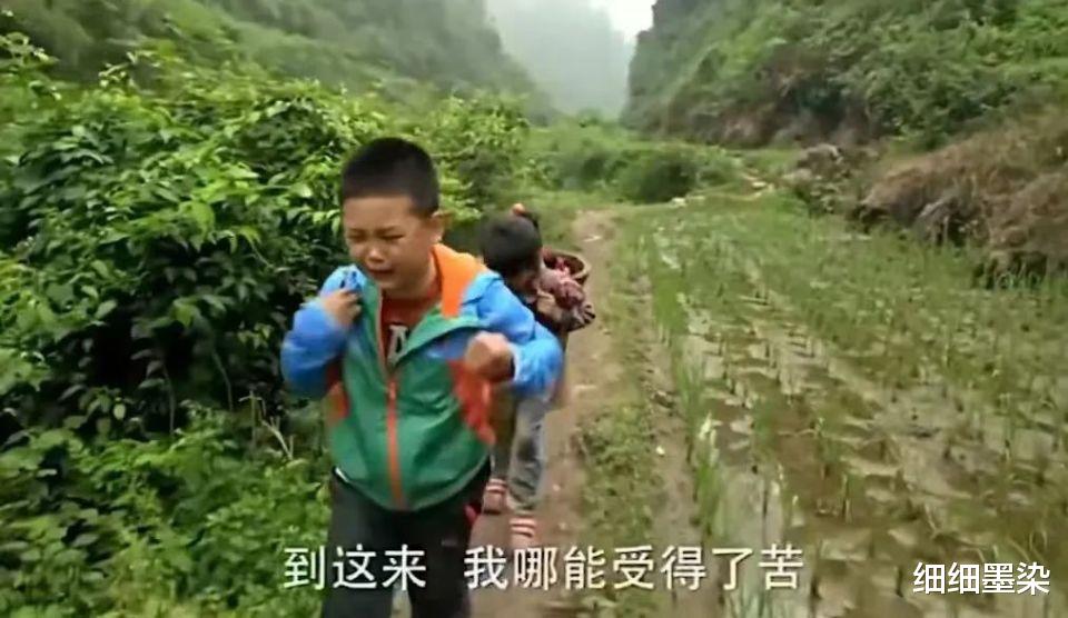 王艳的儿子被保送北大,原来羊水才是最大的分水岭