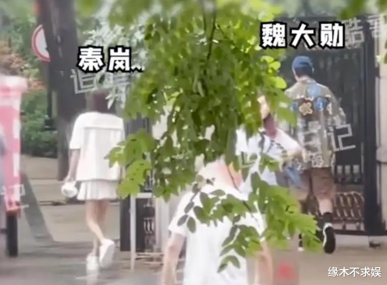 狗仔曝秦岚魏大勋分手，原因曝光，女方一月飞3次日本见新男友！