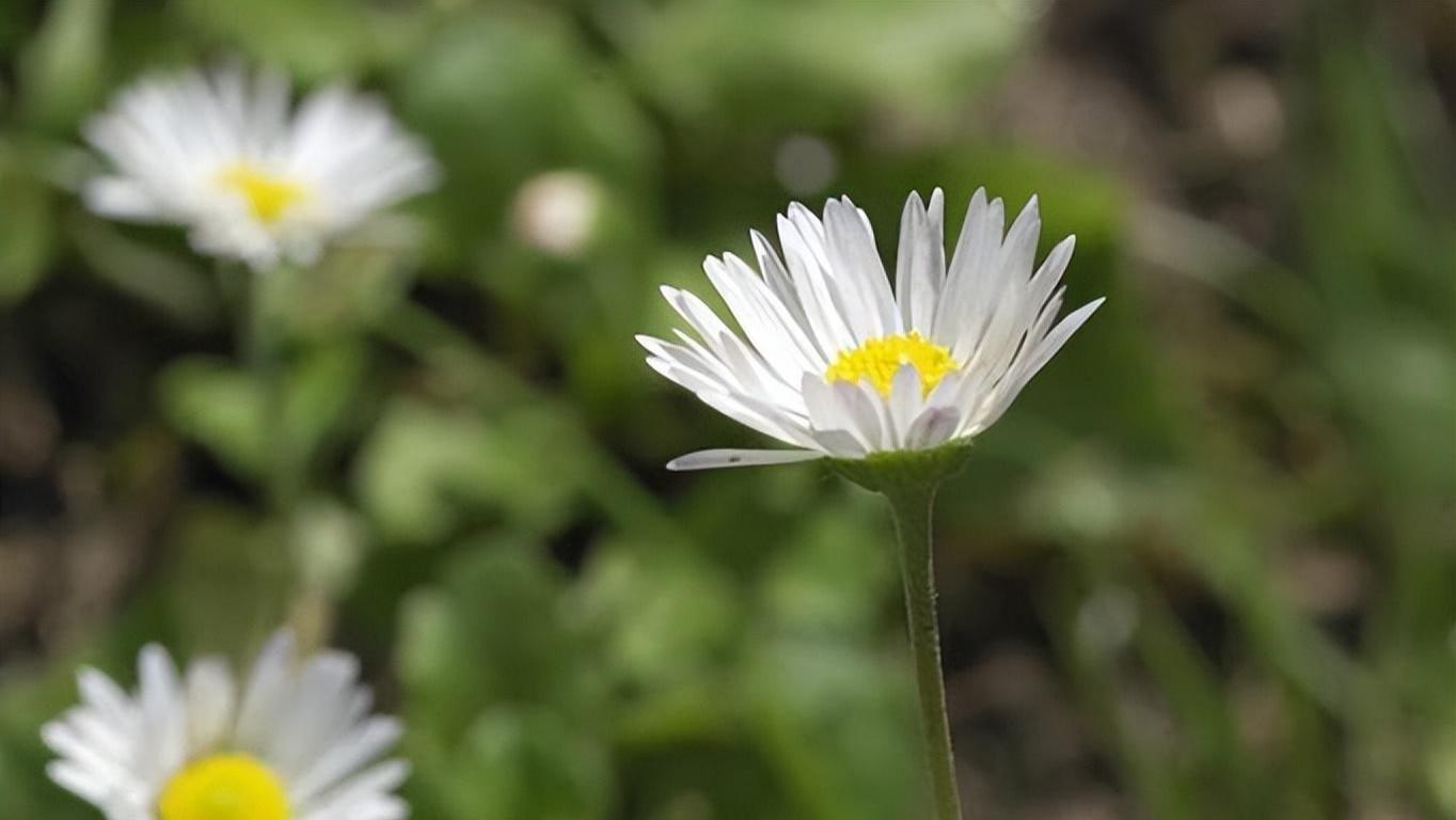 能够“闷声发大财”的人，有两个共性
