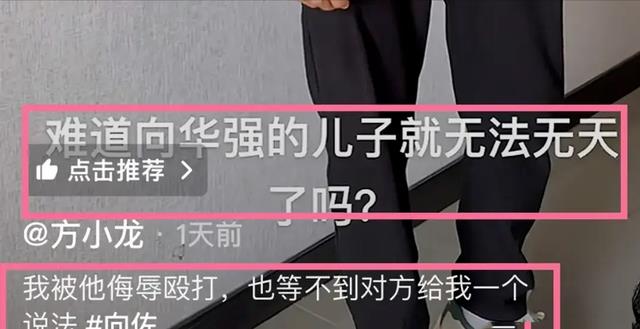 向佐掌掴李小龙模仿者,对方报警:向华强儿子无法无天?本人回应