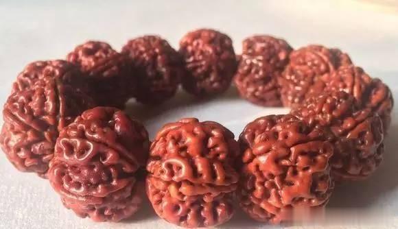 金刚菩提要想玩出彩，你得这么干