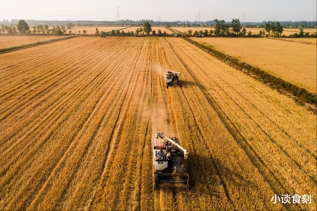 四月廿九不一般，有3个不一般之处，提醒：1不碰，2不做，吃3样