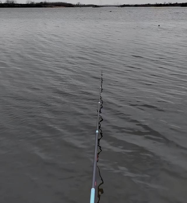 鱼能不能发现鱼线?只吃窝料不咬钩,钓鱼人或许忽略了这一点