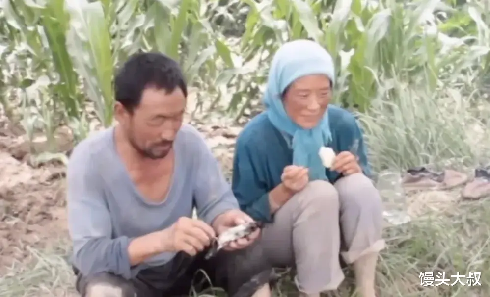 同样都是饰演张桂梅校长，宋佳被网友群赞，海清为啥被群嘲？