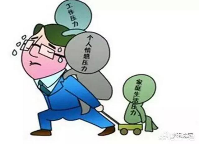 当代年轻人面临的压力为什么这么大